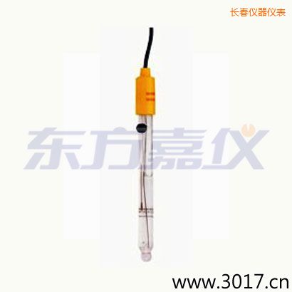 長春可填充玻璃管電極