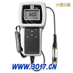 大理便攜式溶解氧測(cè)量?jī)x