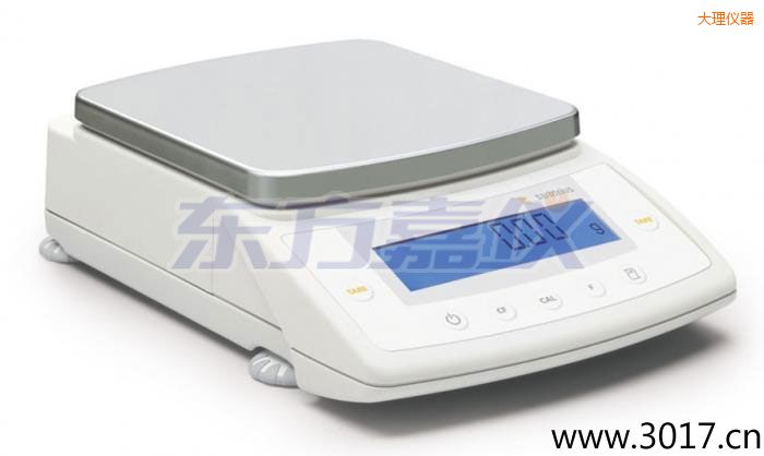 ����CPAϵ�о��������ƽ,1,500|3,000|6,200g,0.01|0.02|0.05mg