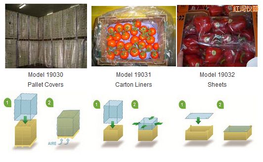 �t��PrimePro EAP ��ϩ�������b [EAP]