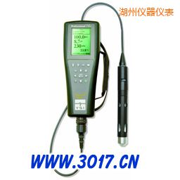 �����ֳ�ʽҰ��/����҃��Üy���x