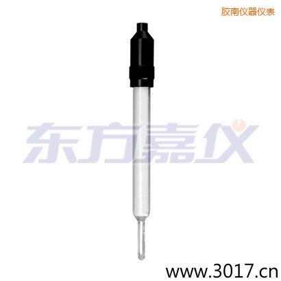 膠南玻璃外殼無溫補兩線電導率電極