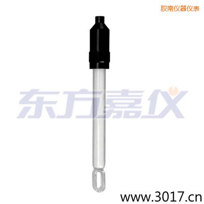 膠南無溫補(bǔ)兩線電導(dǎo)率電極