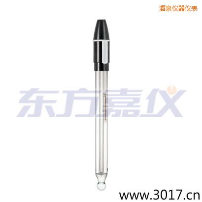 酒泉玻璃外殼可填充雙鹽橋復(fù)合電極