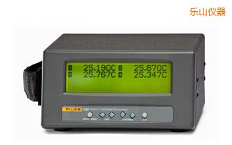 樂(lè)山四通道便攜式測(cè)溫儀