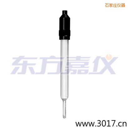 石家莊玻璃外殼無溫補(bǔ)兩線電導(dǎo)率電極
