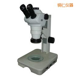 �~�ʕr���wҕ�@΢�R