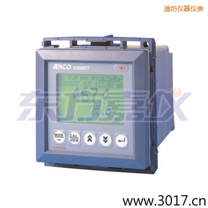 濰坊工業(yè)微電腦溶氧儀