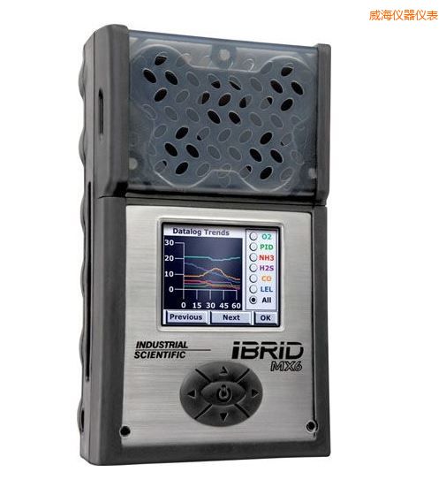 威海復(fù)合式6氣體檢測儀
