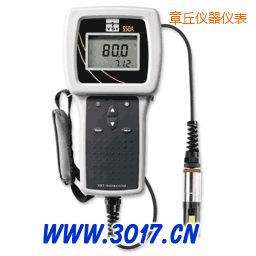 章丘便攜式溶解氧測量儀