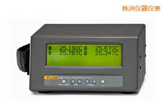 株洲四通道便攜式測(cè)溫儀