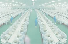 ʳƷ���a(ch��n)